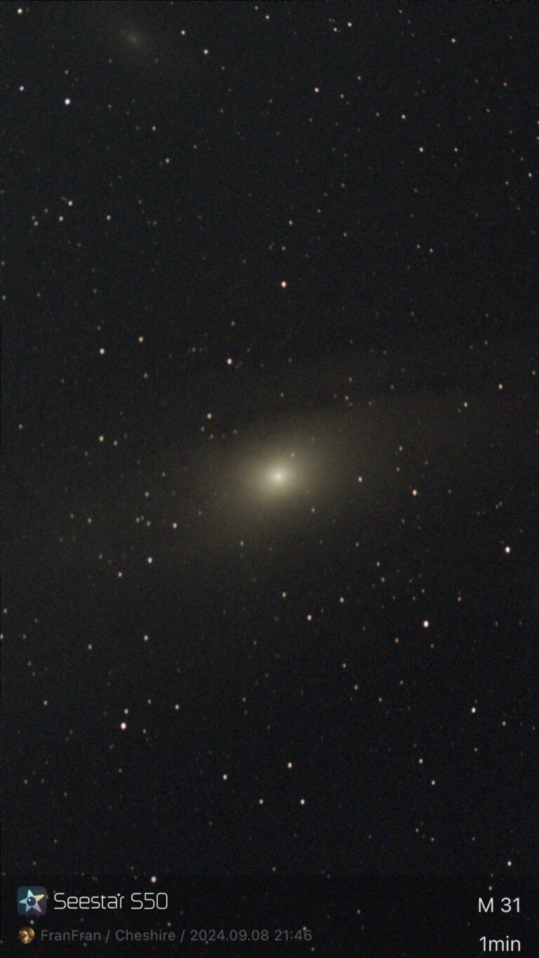 M31