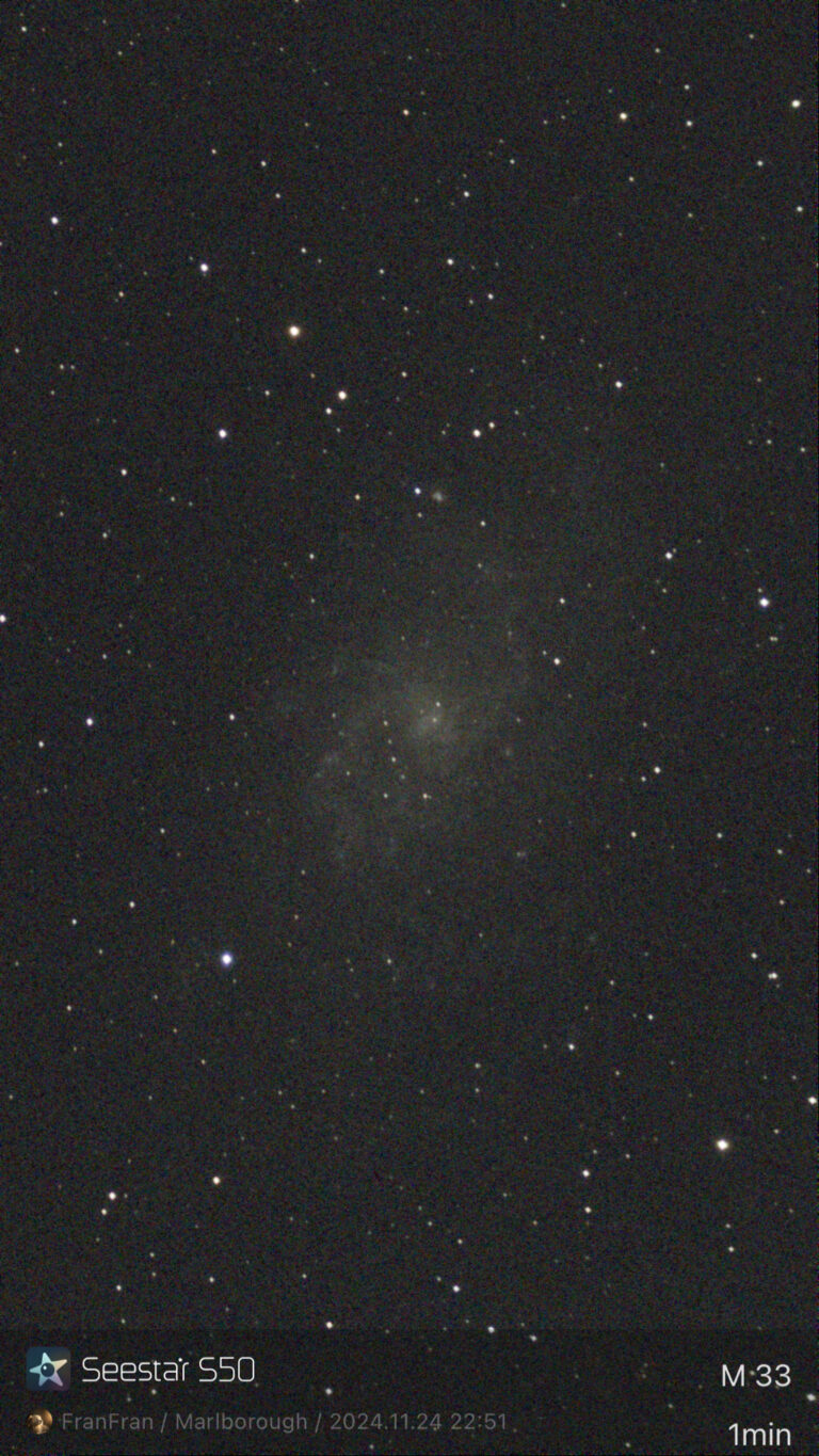 M33