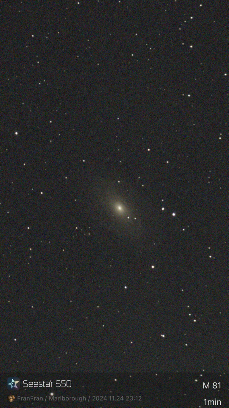 M81