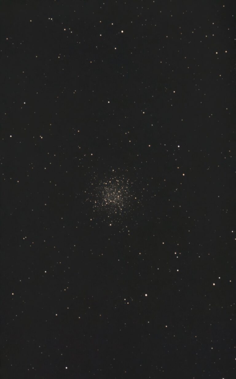 M55